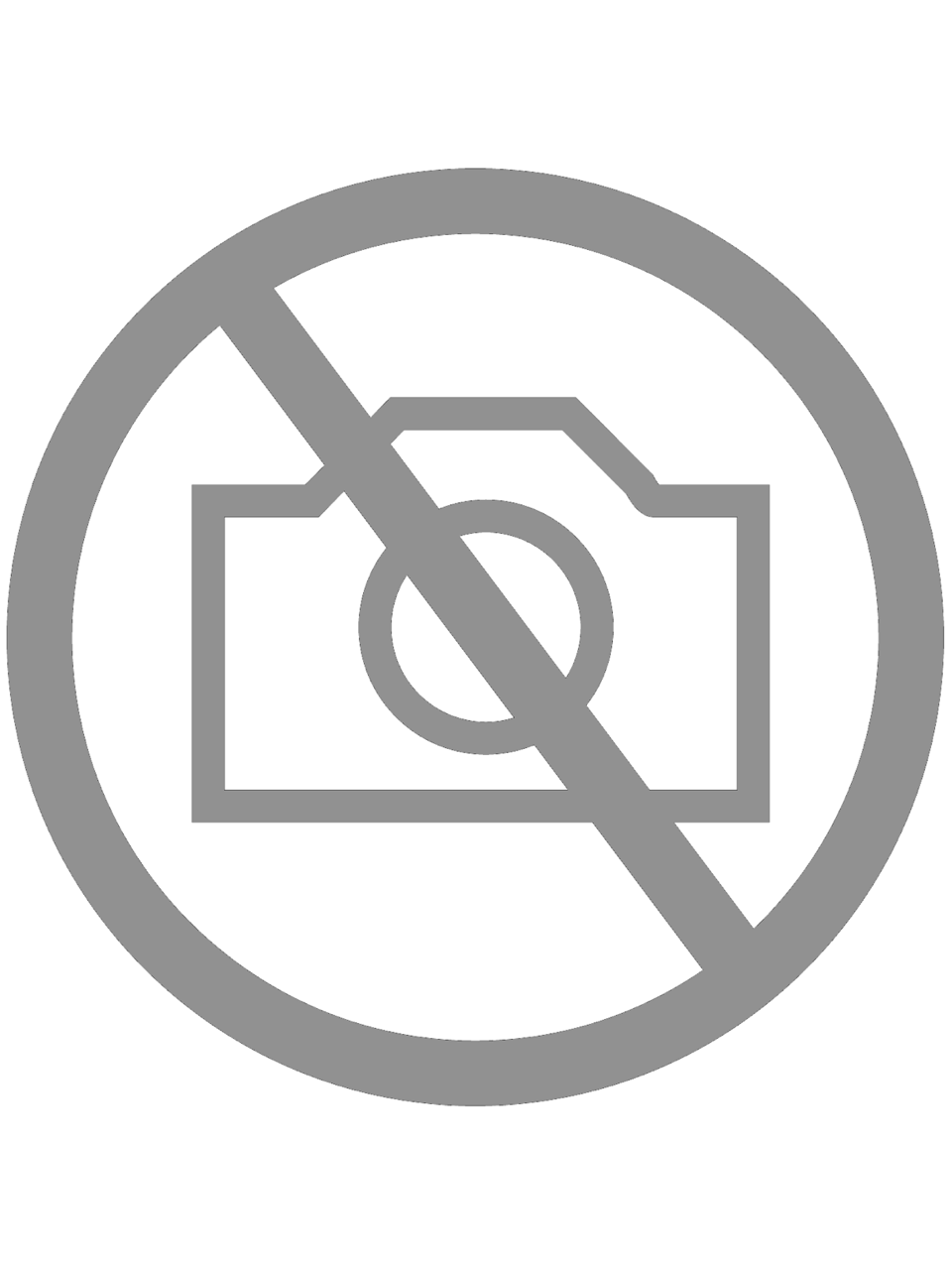 THE NEW ZODIAX #3